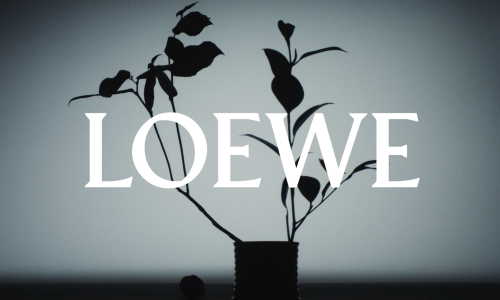 Captura de pantalla 2026-01-25 a las 19.07.41